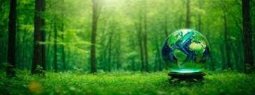 Globe representing global policy and sustainability